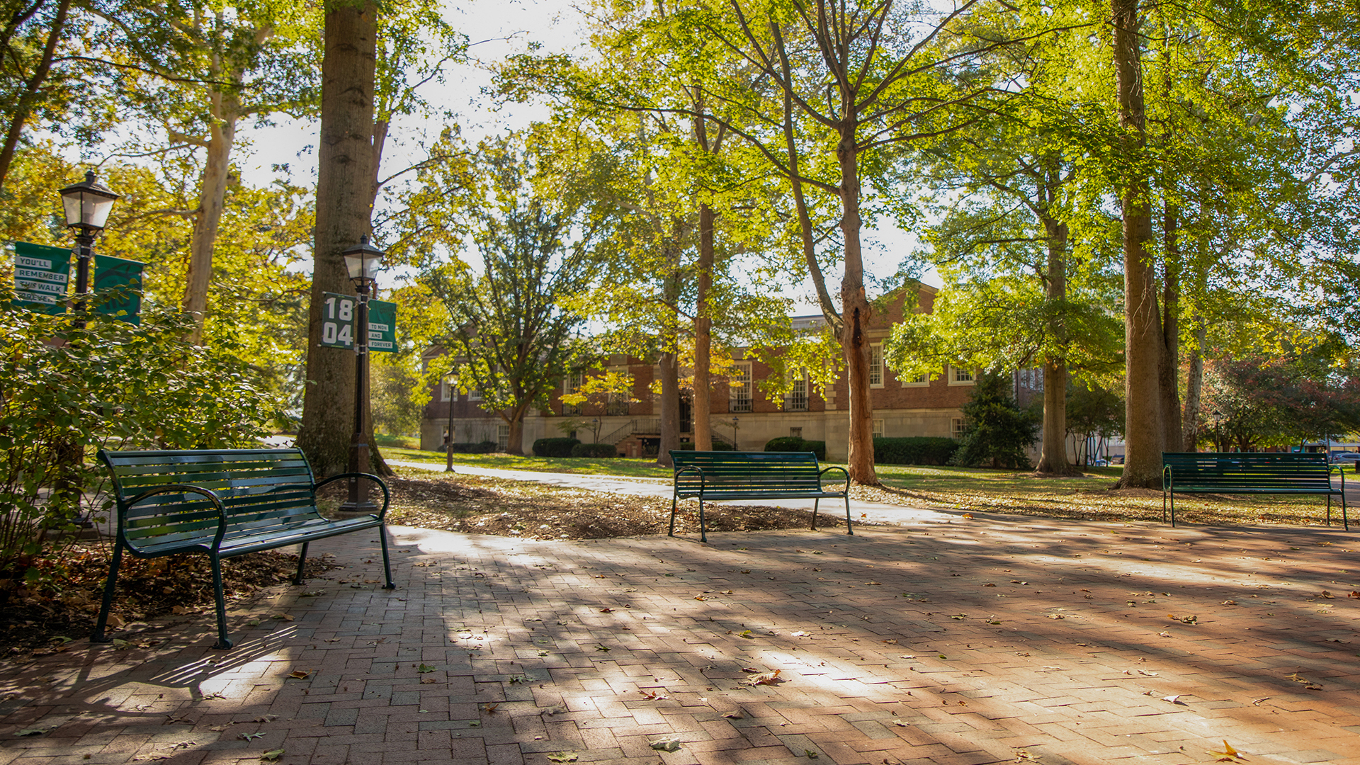 Photograph of Campus Green on a sunny fall day